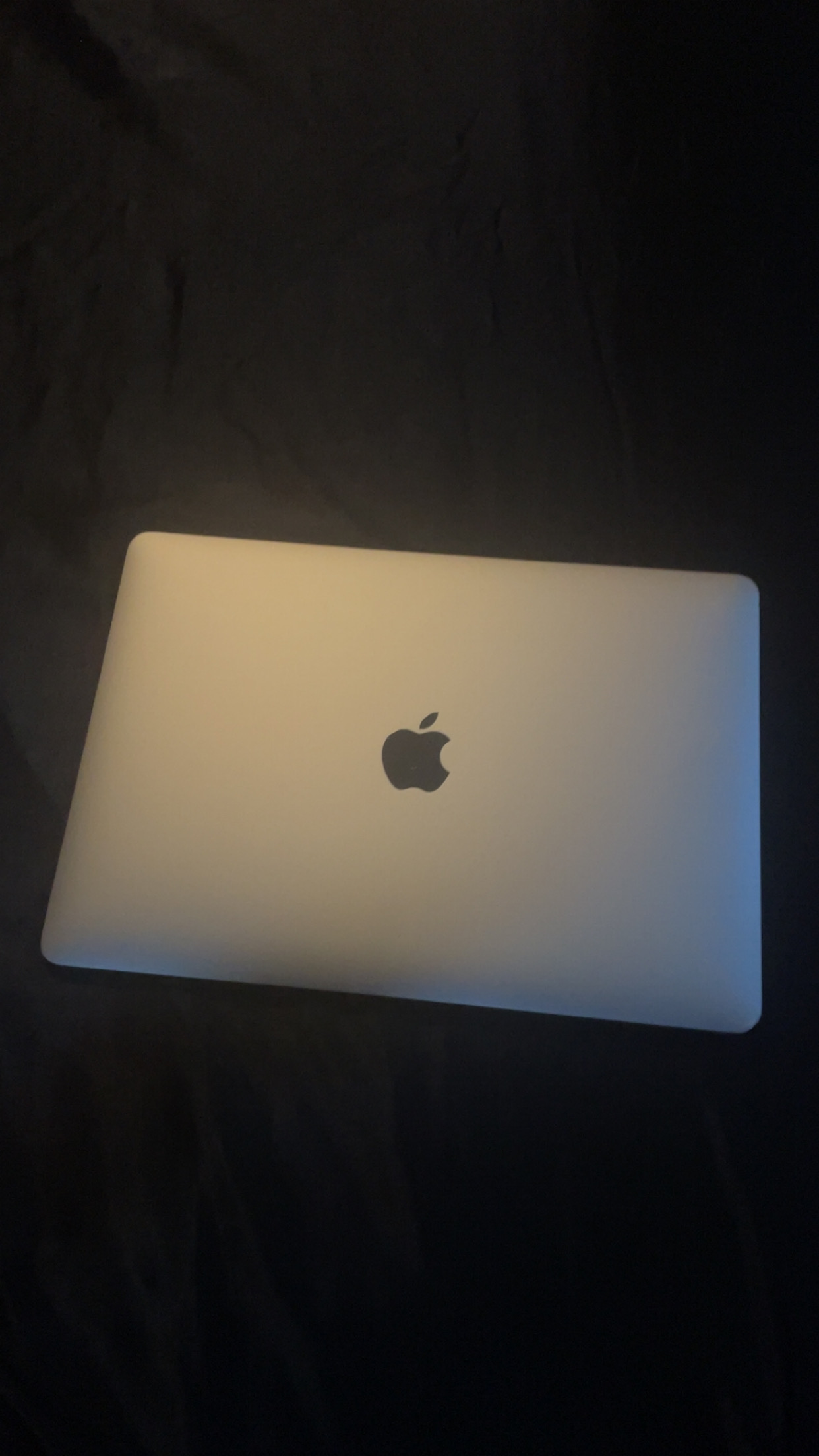 MacBook Pro Retina 13-inch (2020) - Core i7 - 32GB - SSD 2000GB