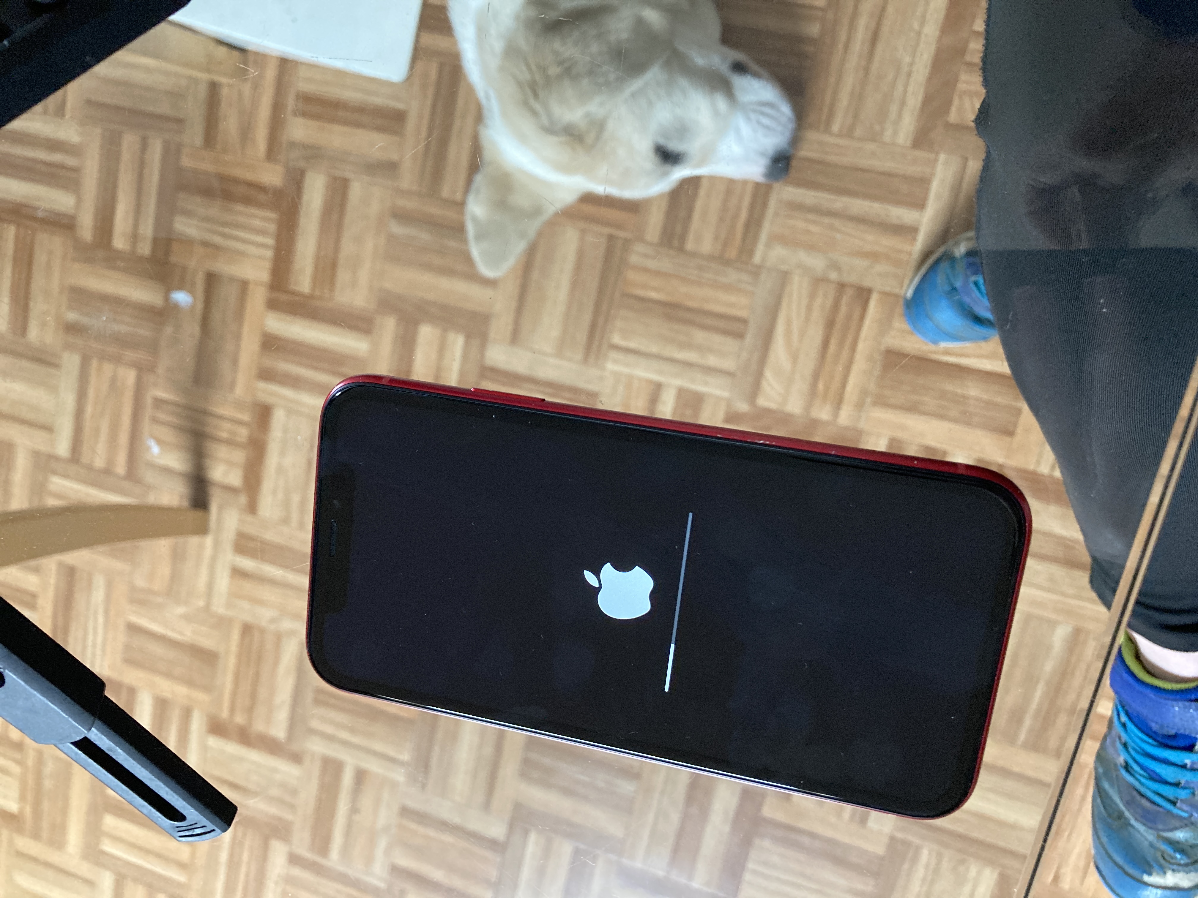 Téléphone portable Apple iPhone XR / 64 Go / Noir