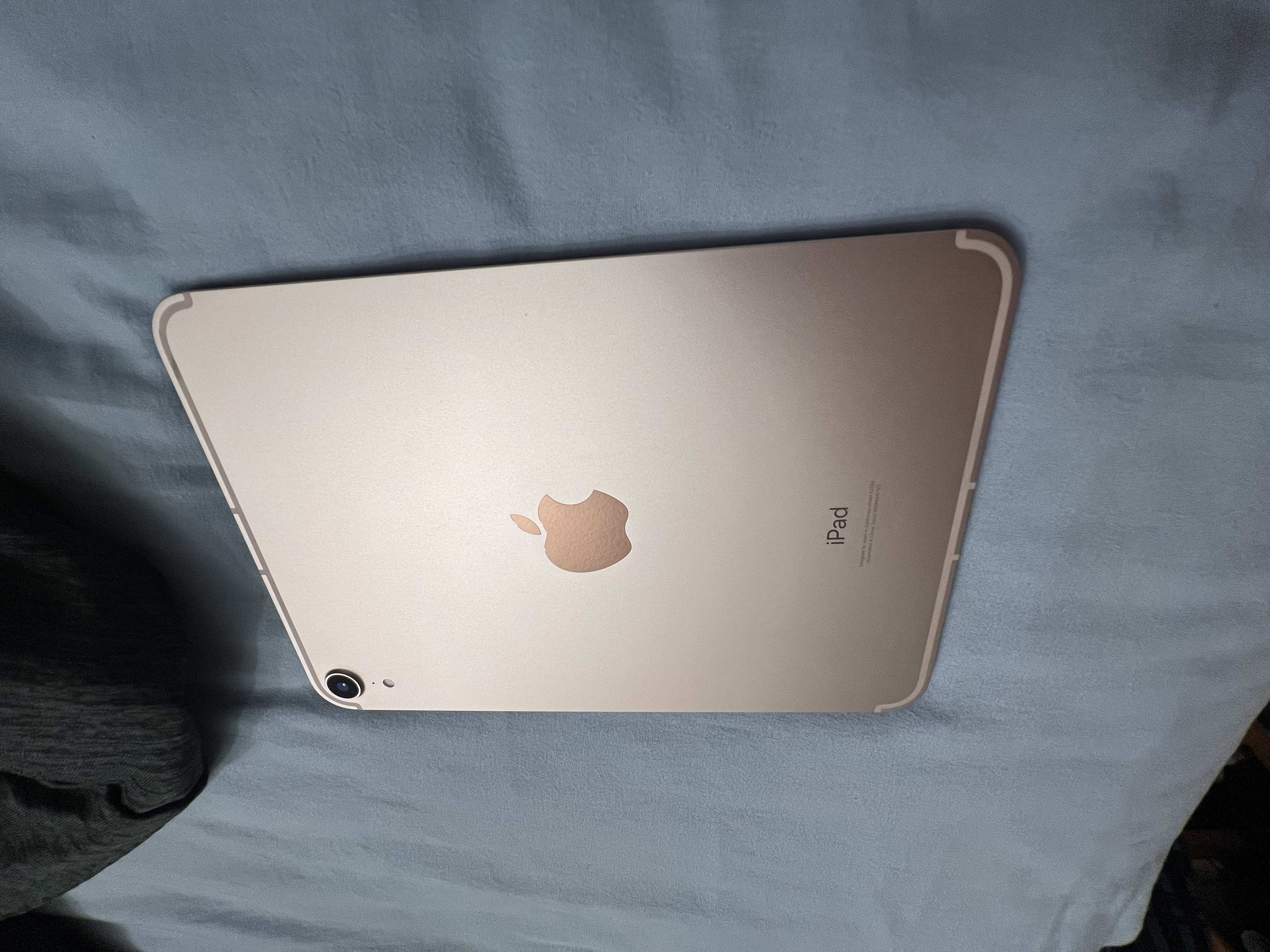 iPad mini 8.3-inches (2021) 6th gen 256 GB - Wi-Fi - Purple | Back