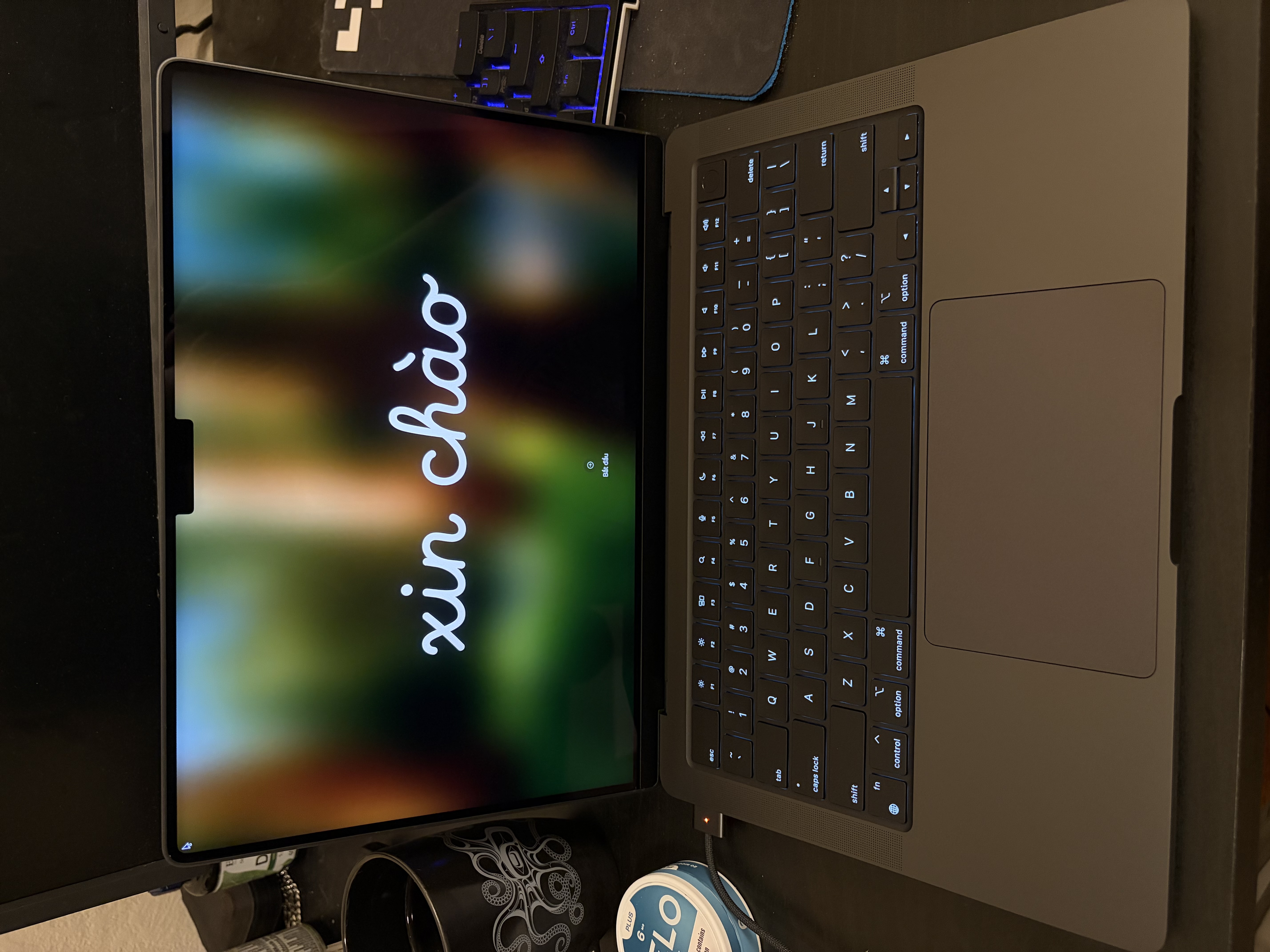 MacBook Pro (2024) 14-inch - Apple M4 10-core and 10-core GPU