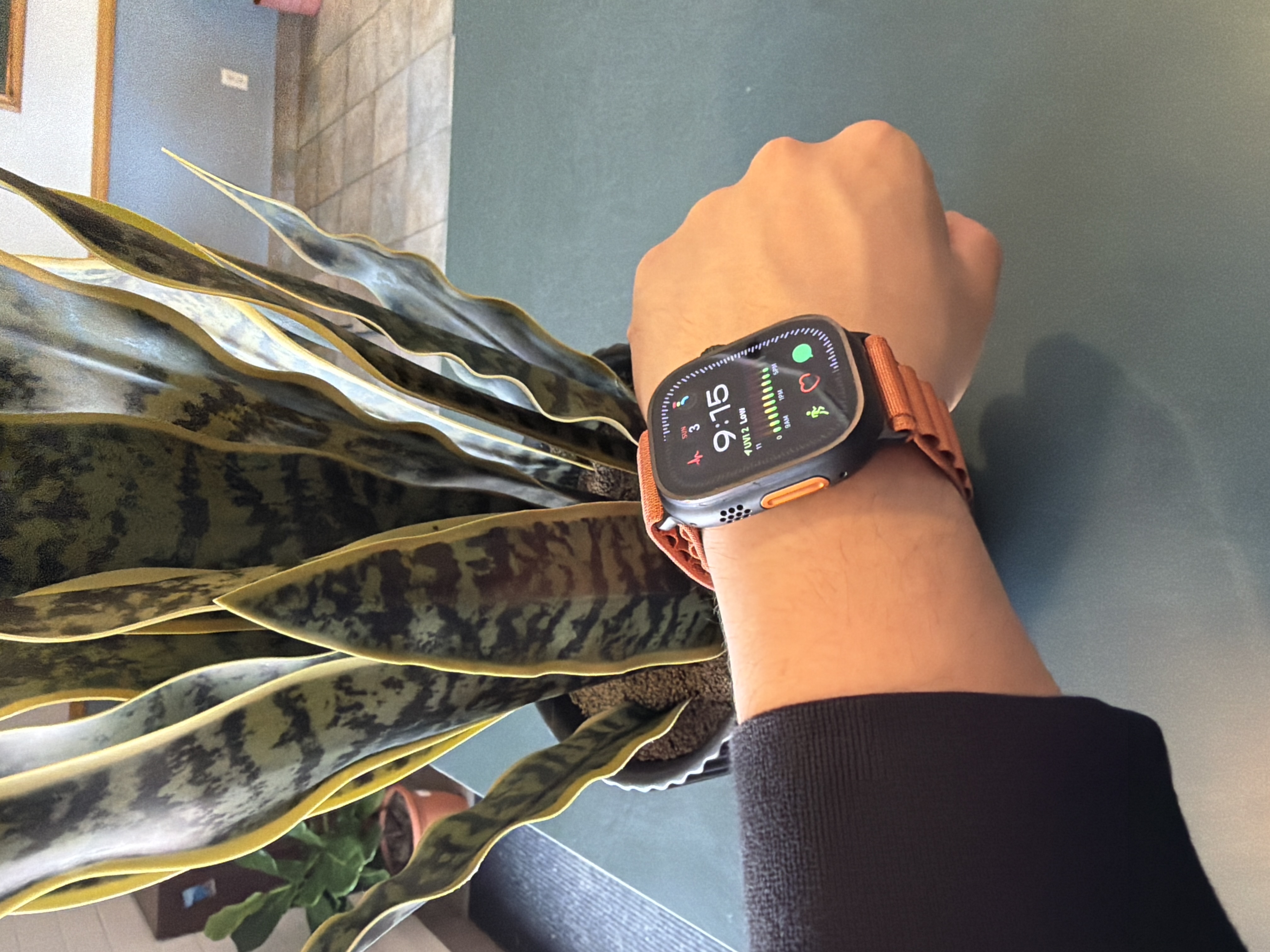 Apple Watch Ultra 2 (2024) GPS + Cellular 49 mm - Titanium Black