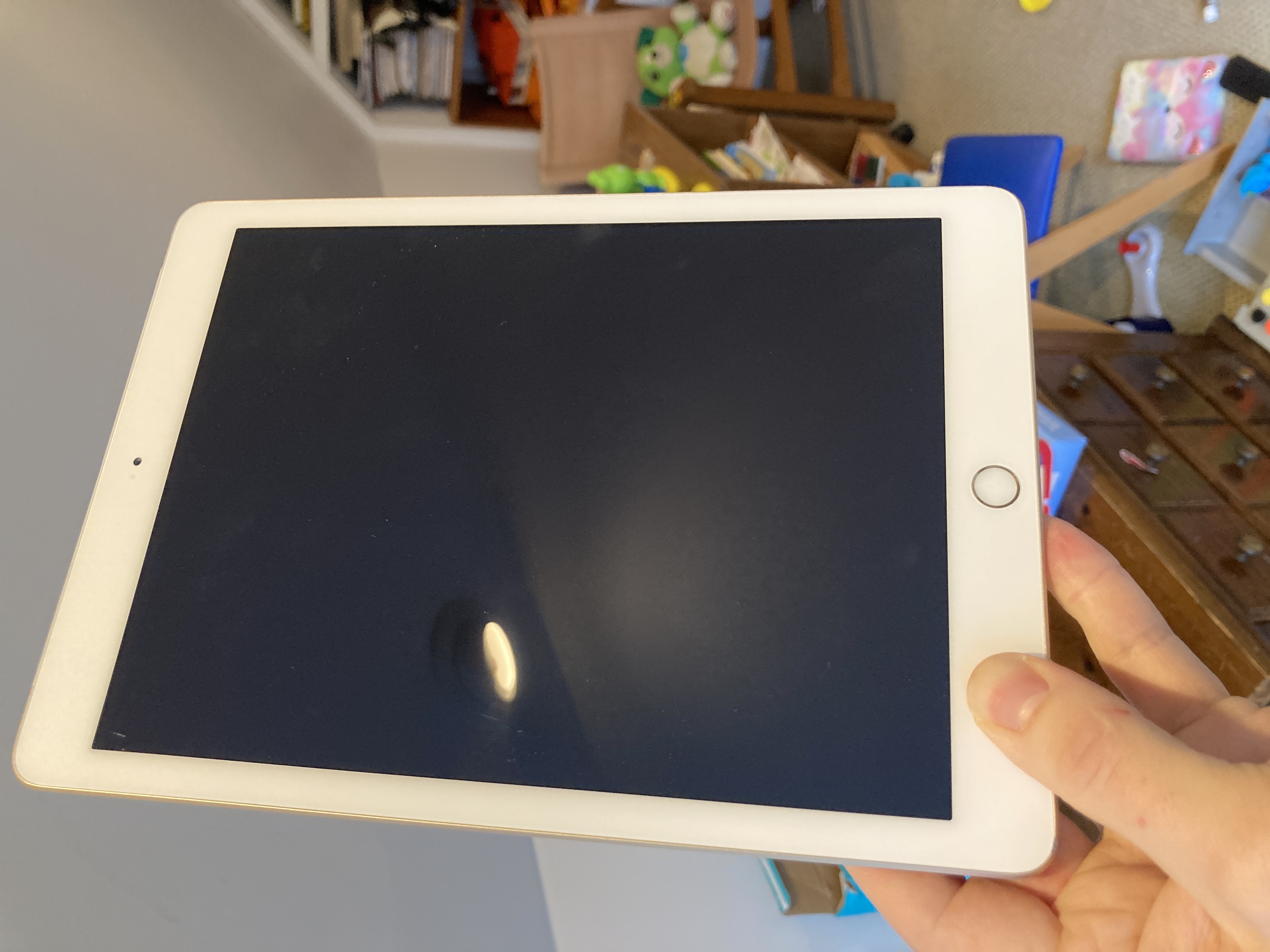 iPad 9.7-inches (2017) 5th gen 128 GB - Wi-Fi - Space Gray | Back