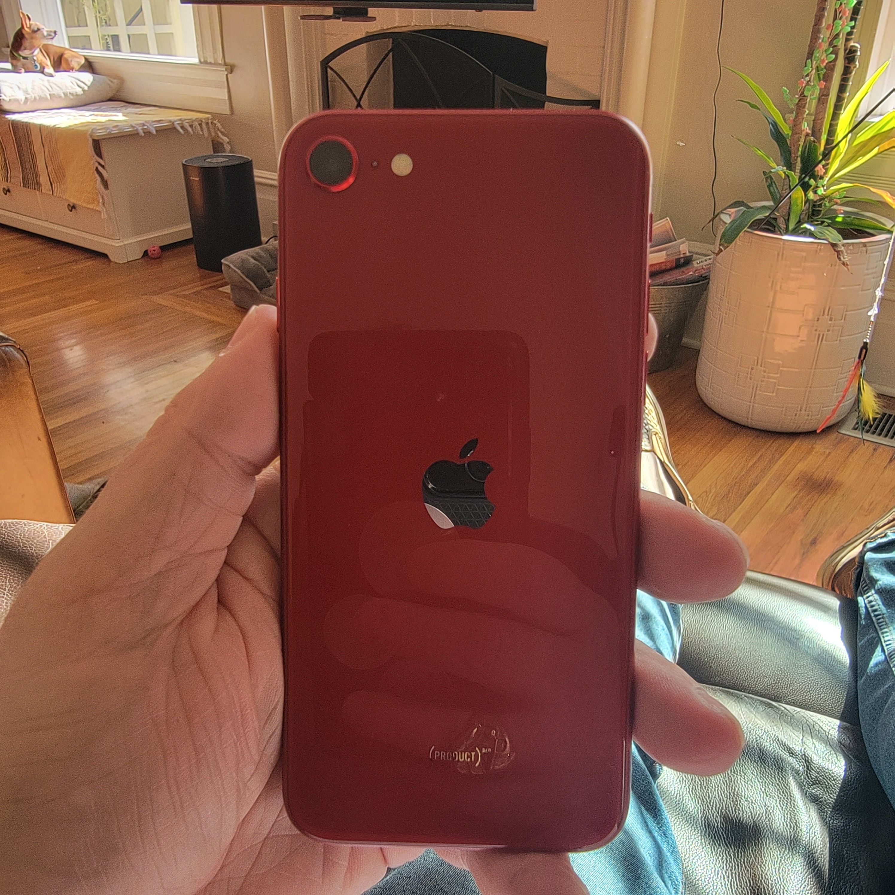 iPhone SE (2022) 64GB - Red - Unlocked | Back Market