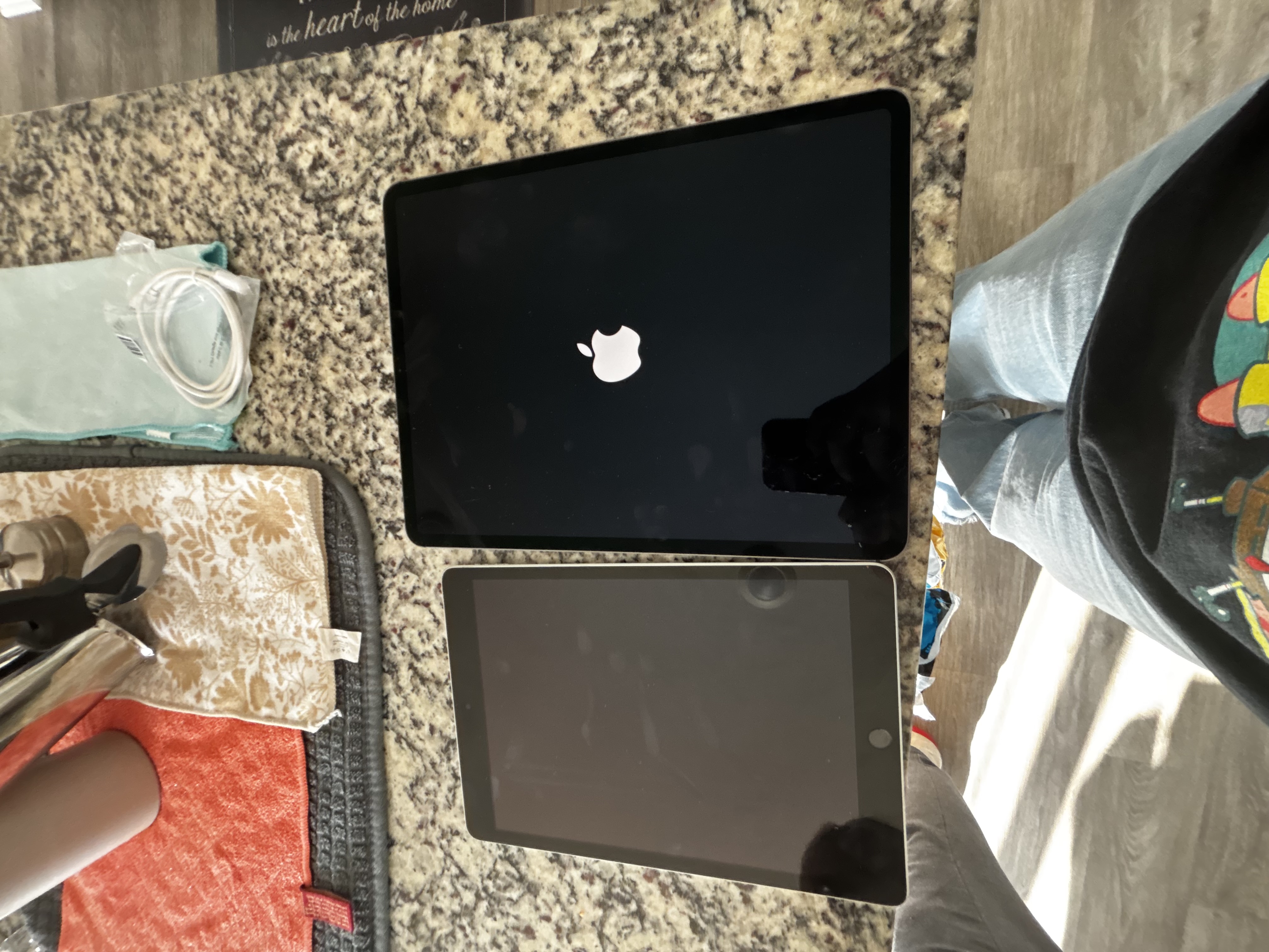 iPad Pro 12.9-inches (2020) 4th gen 256 GB - Wi-Fi - Space Gray