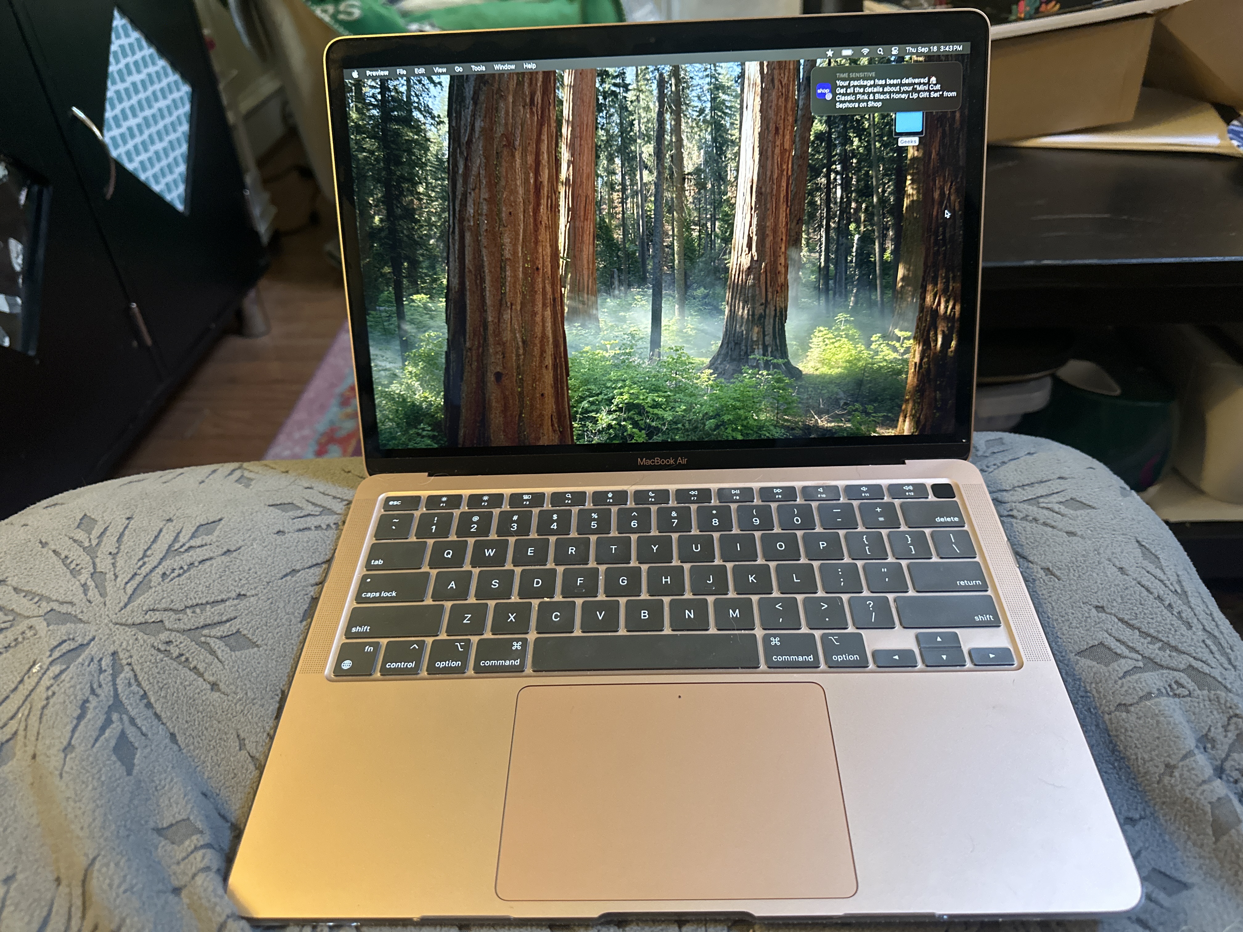 MacBook Air (2020) 13-inch - Apple M1 8-core and 8-core GPU - 16GB