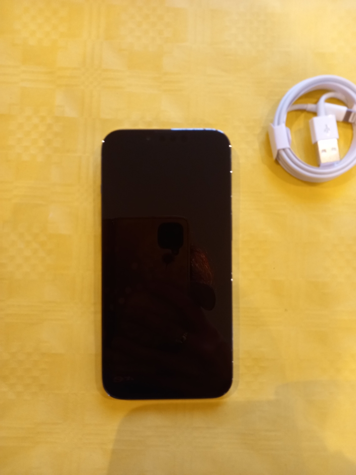 APPLE IPHONE 13 Pro - 128 Go - Sierra Blue (Débloqué) - 1 an de
