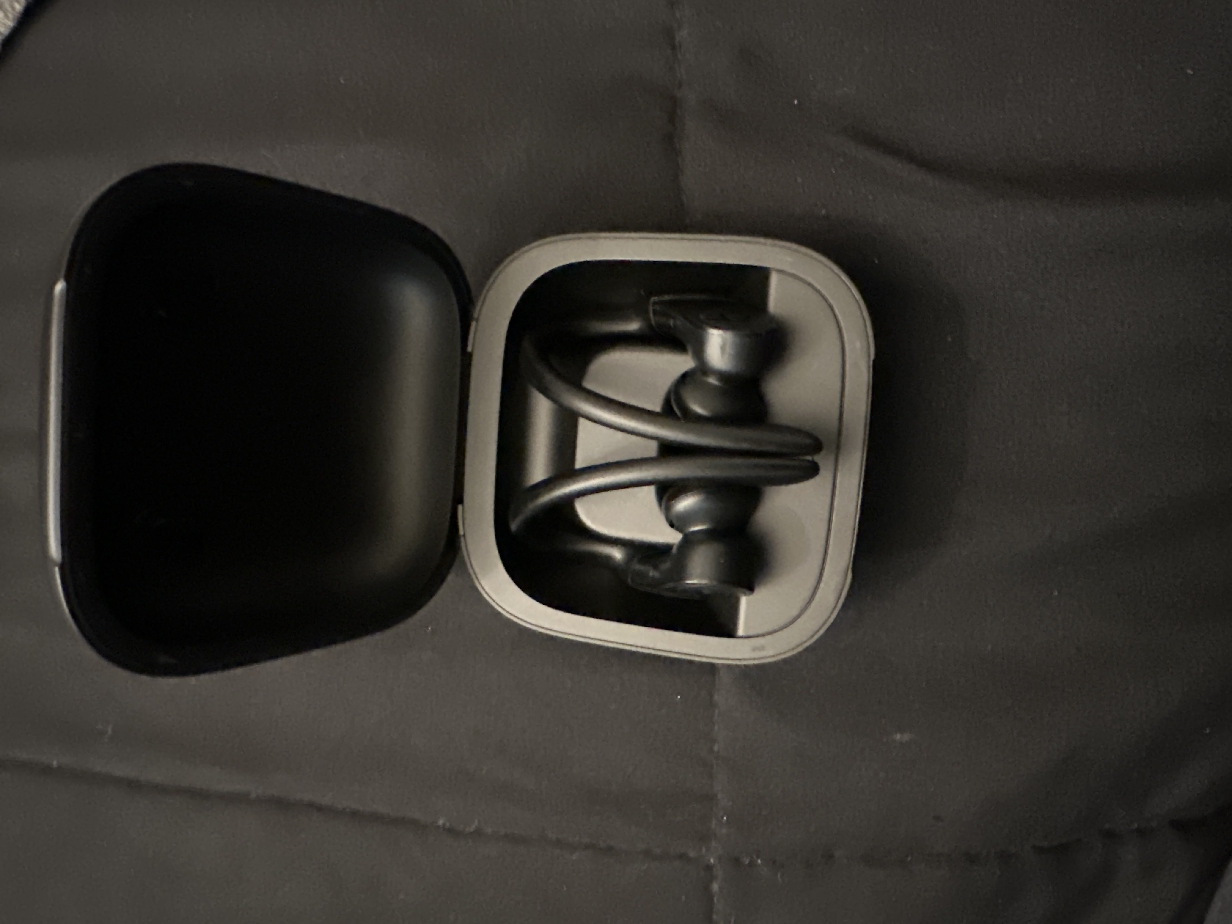 Beats By Dr. Dre Powerbeats Pro Bluetooth Earphones - Black | Back