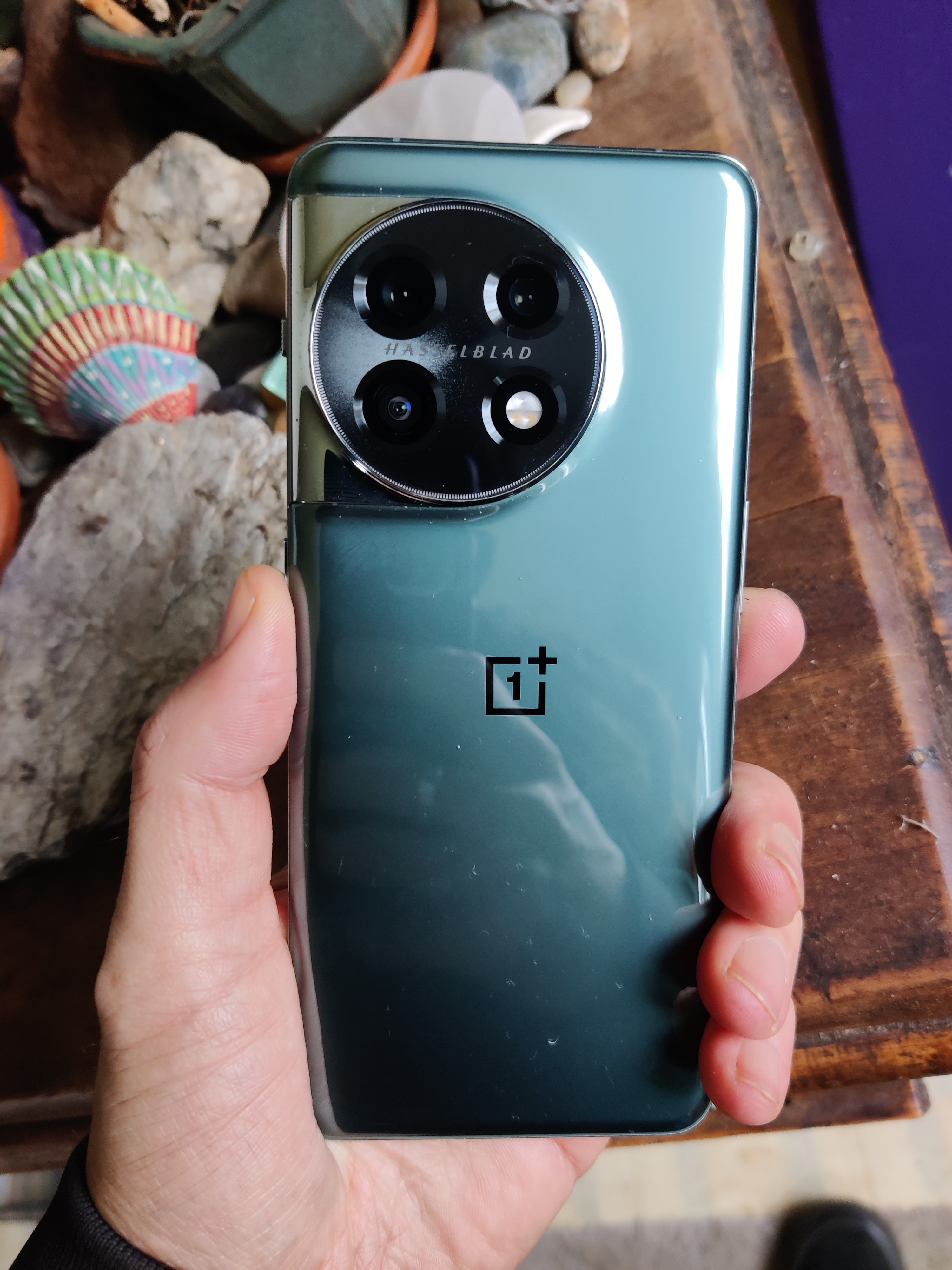 OnePlus 11 256GB - Green - Unlocked | Back Market