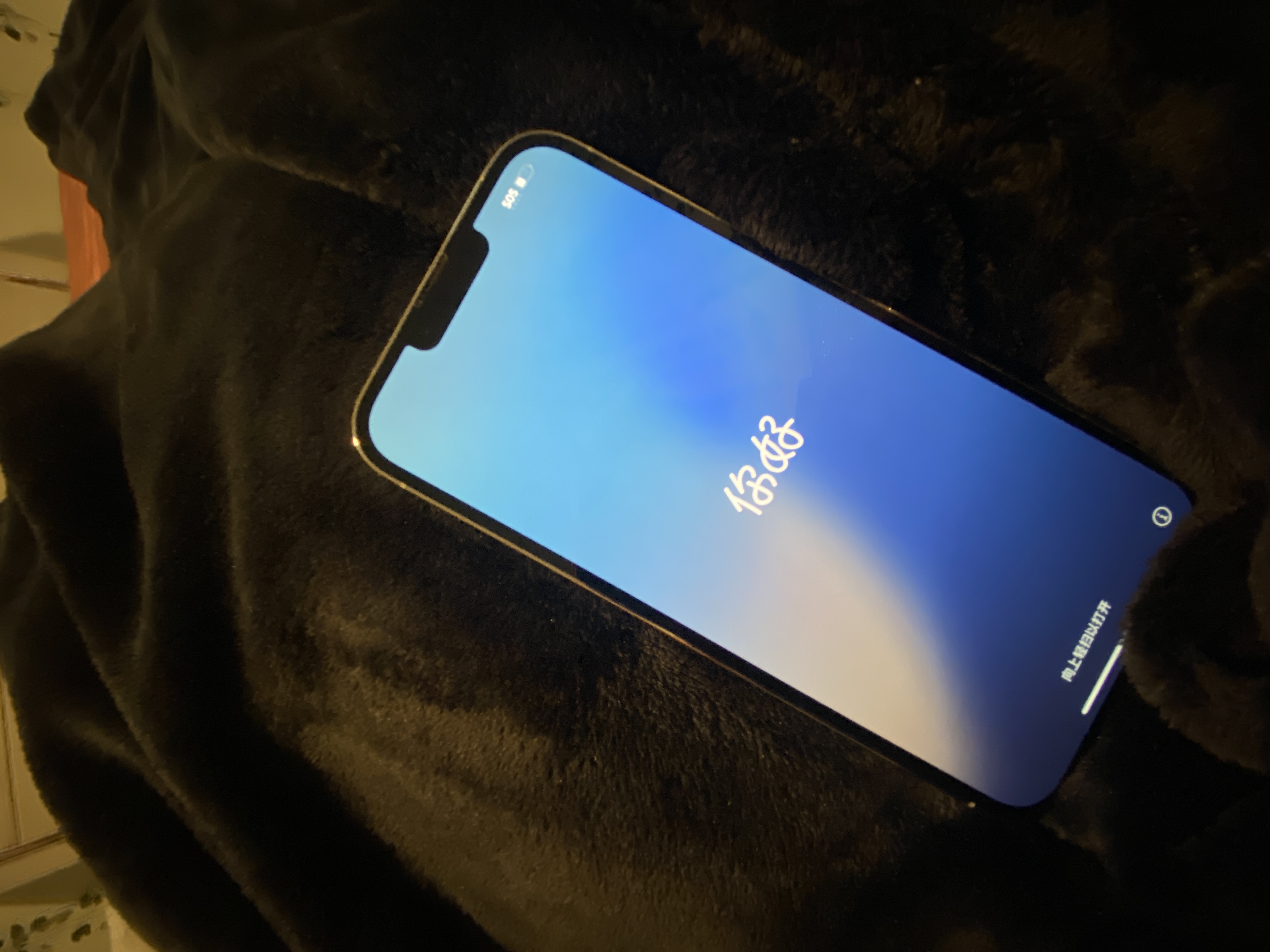 iPhone 13 Pro Max 1000GB - Sierra Blue - Unlocked | Back Market