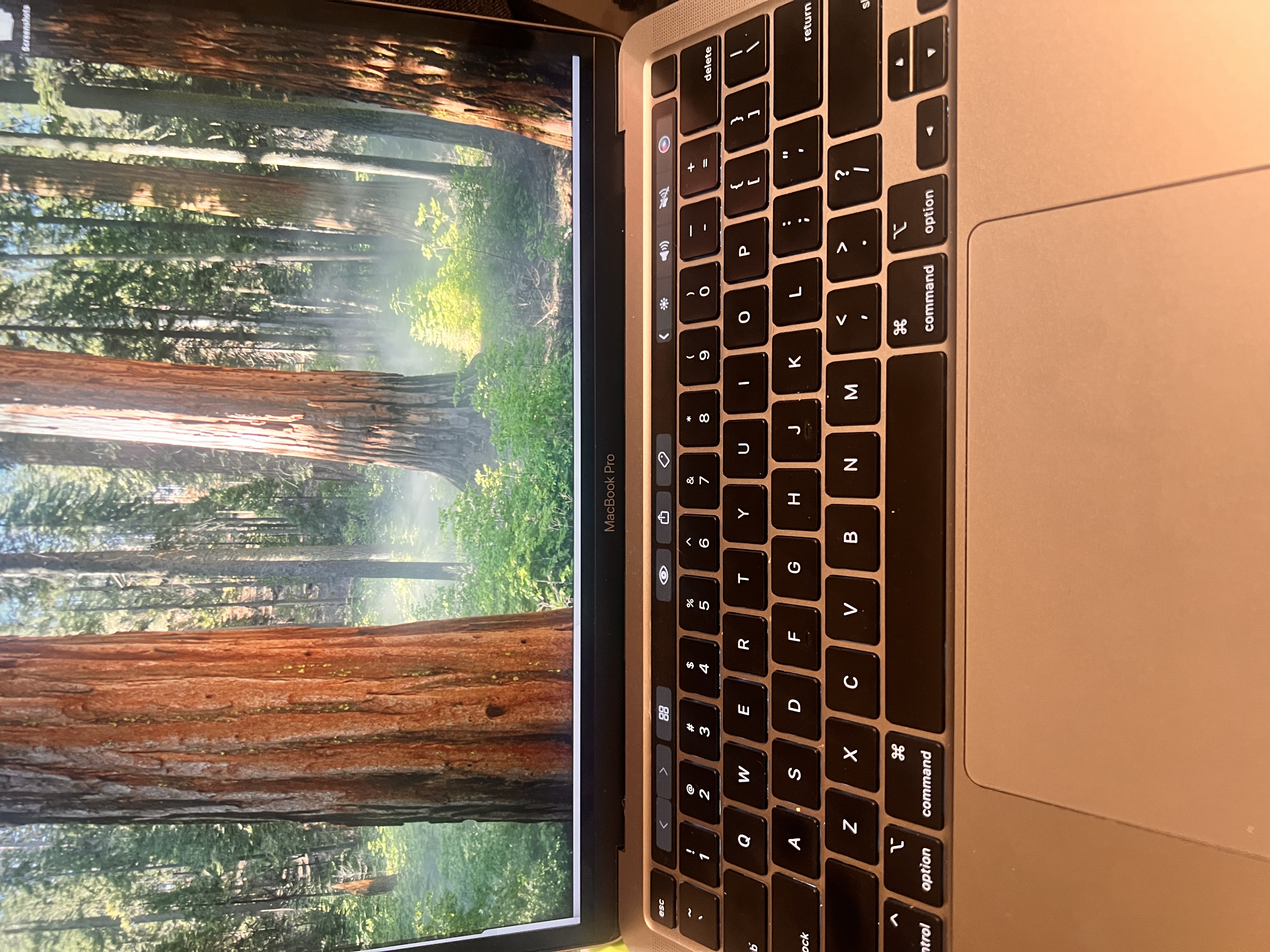 MacBook Pro Retina 13-inch (2020) - Core i7 - 32GB - SSD