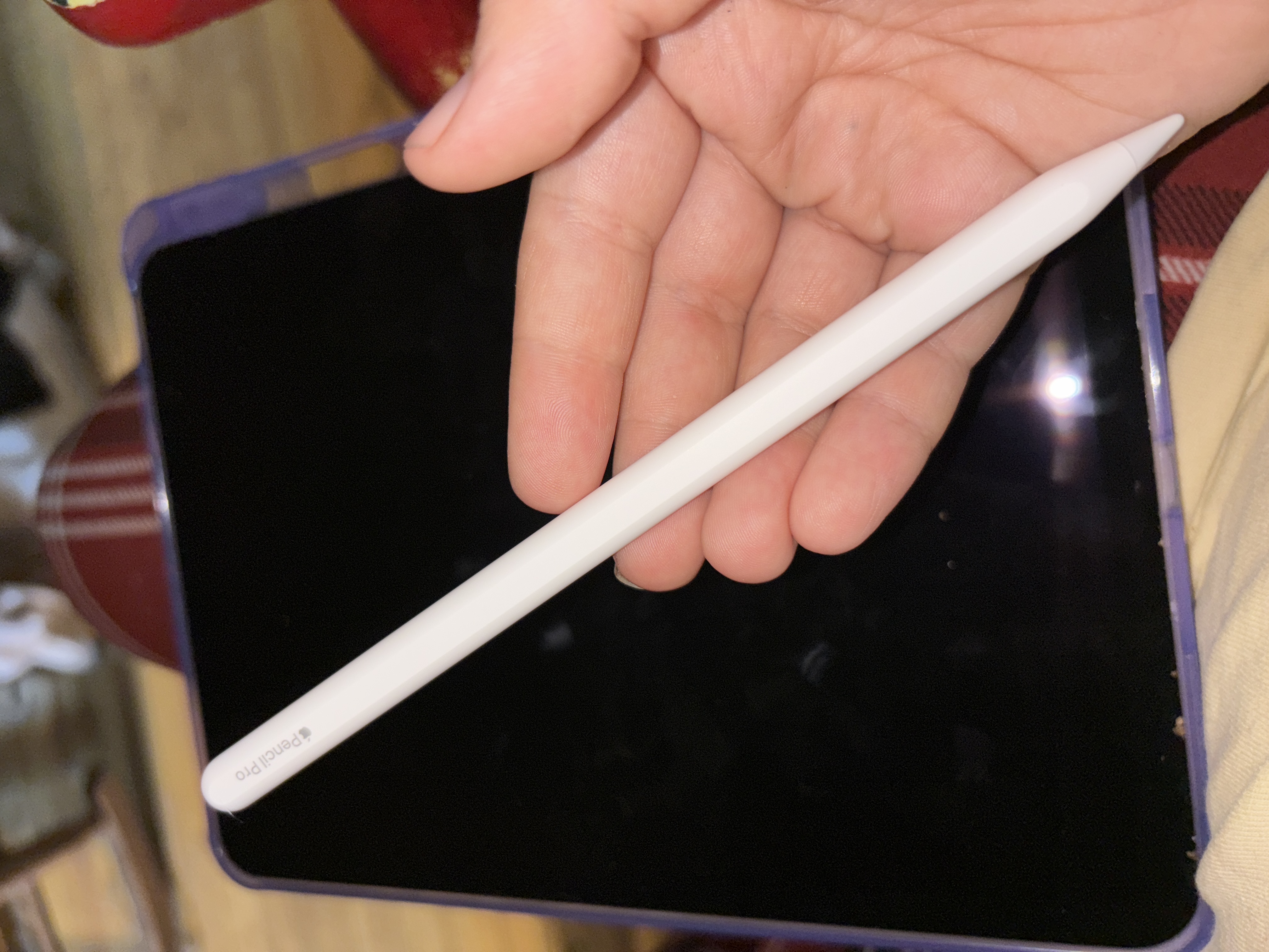【G31】Apple Pencil Pro Amazon.com: Stylus Pencil for Apple iPad Pro 2024 13/12.9/11